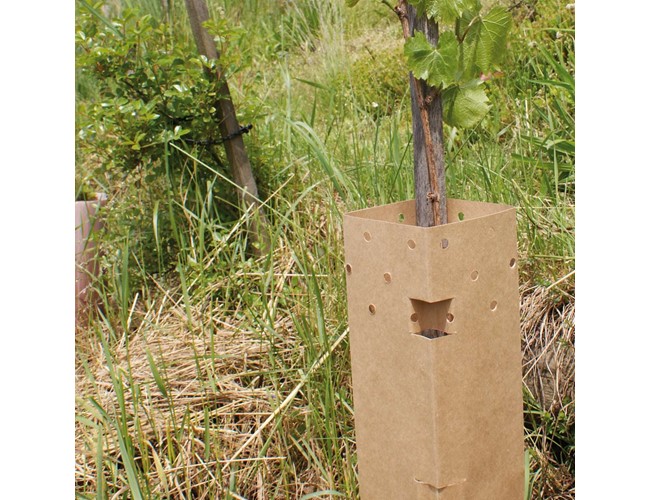 Manchon carton biodégradable (50 pces)